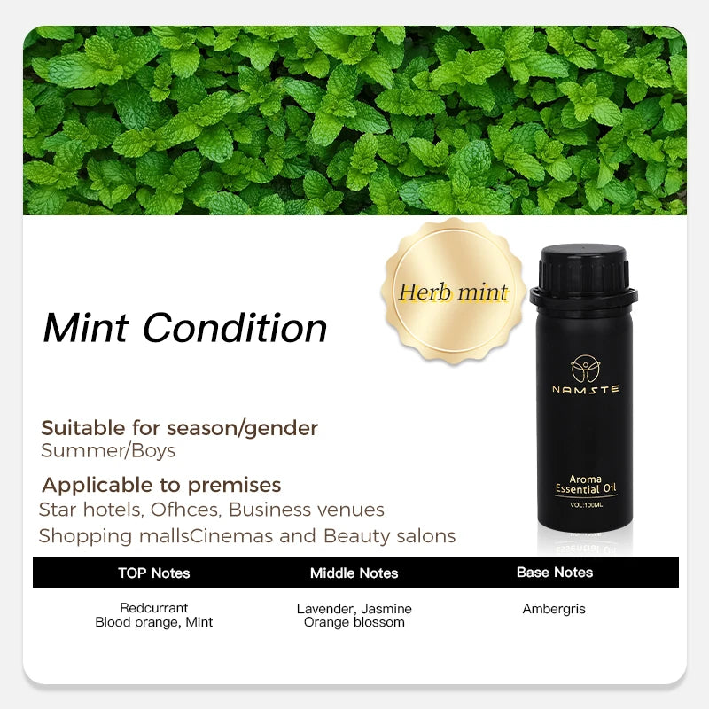NAMTSE 100ML Perfume Fragrance Oil Set Room Aromatherapy Home Air Freshener Electric Aromatic Oasis Essential Oil Air Purifier